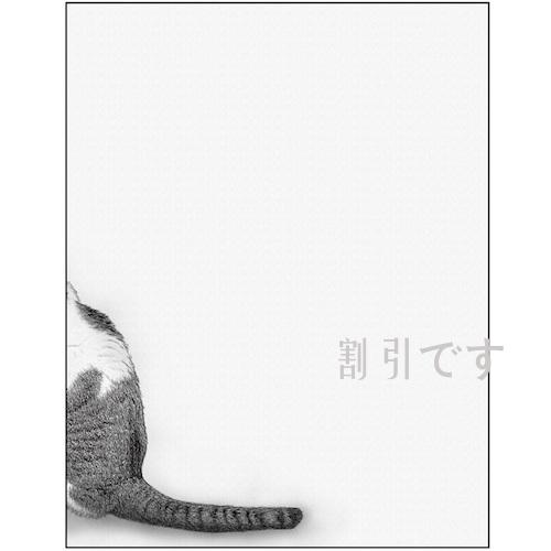 ｓｉｇｎ　ｃｉｔｙ　キャンバス　Ｓｋｅｔｃｈ　猫のしっぽ　Ｆ６　Ｎｏ．４３１９７　
